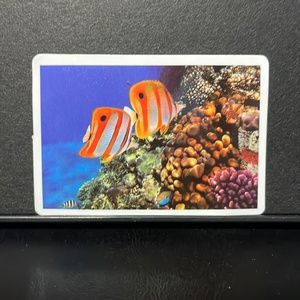 TROPICAL FISH STICKER